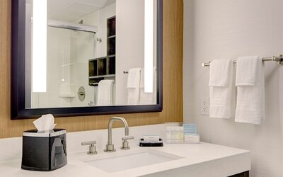 Hampton Inn Brooklyn/Downtown