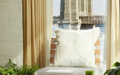 1 Hotel Brooklyn Bridge
