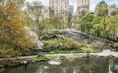 The Pierre, A Taj Hotel, New York