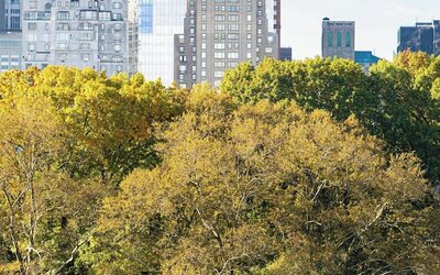 JW Marriott Essex House New York