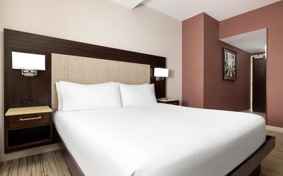 Hilton Garden Inn New York/Times Square Central