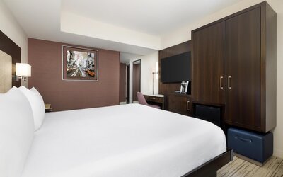 Hilton Garden Inn New York/Times Square Central