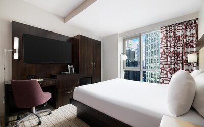 Hilton Garden Inn New York/Times Square Central
