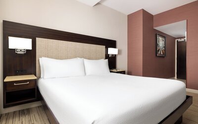 Hilton Garden Inn New York/Times Square Central
