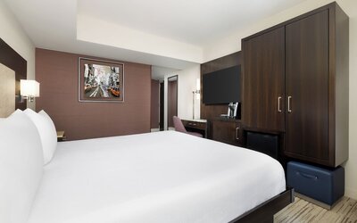 Hilton Garden Inn New York/Times Square Central