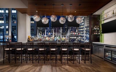 Hilton Garden Inn New York/Times Square Central