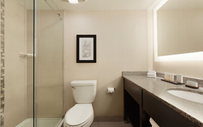 Guest bathroom with shower at Embassy Suites By Hilton Arcadia.