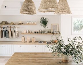 The Surfrider Malibu