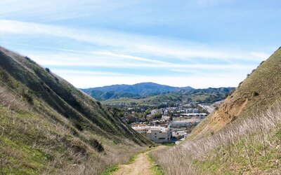 Cambria Hotel Calabasas - Malibu