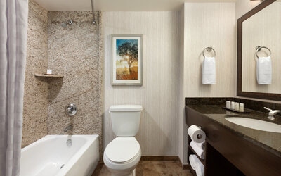 Guest bathroom with shower and tub at Embassy Suites By Hilton Brea North Orange County.