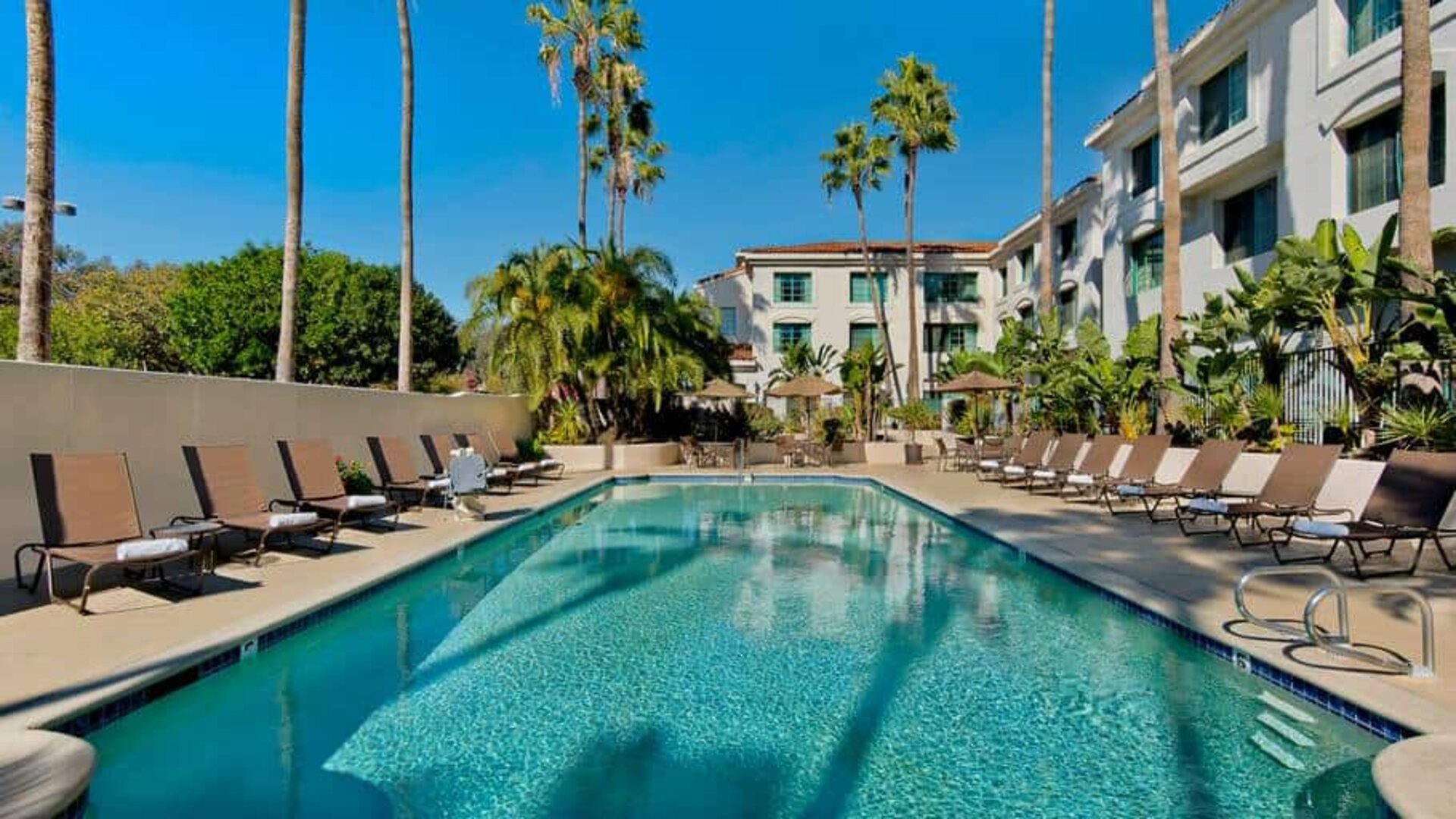 Outdoor pool surrounded by palm trees and deck lounge chairs.