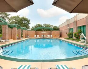 Beautiful pool at the Embassy Suites by Hilton Tampa USF