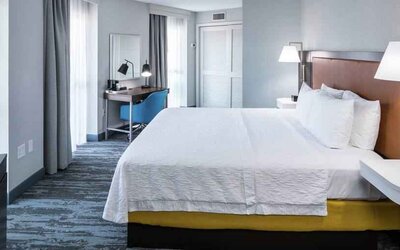 Bright king bedroom with big window at the Hampton Inn & Suites Memphis-Beale Street.