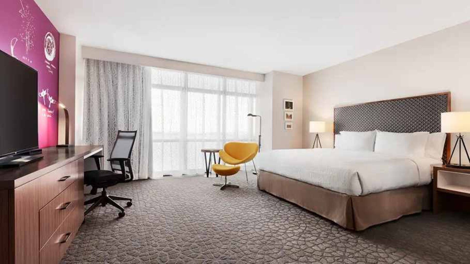 spacious delux king room with TV, work desk and lots of natural light at Hilton Garden Inn Boulder.