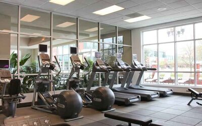 Fitness center with treadmills and windows at the Embassy Suites by Hilton Charleston Airport Convention Center.