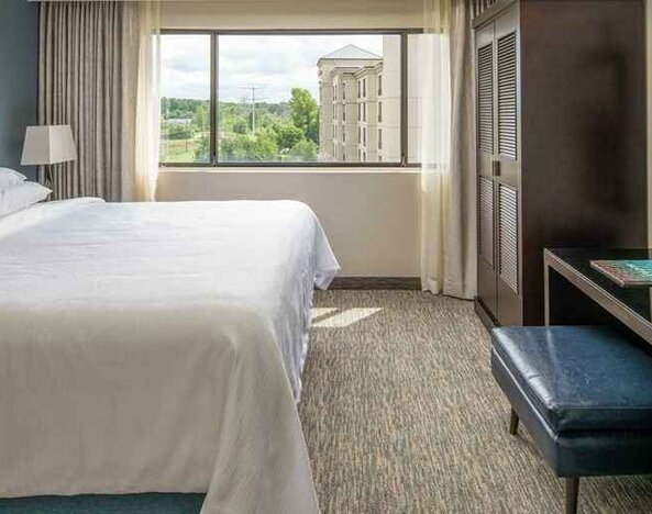 Luxurious king suite with natural light at Embassy Suites by Hilton Seattle Tacoma International Airport.