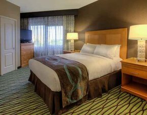 Queen suite with window at the DoubleTree Suites by Hilton Orlando - Disney Springs Area.