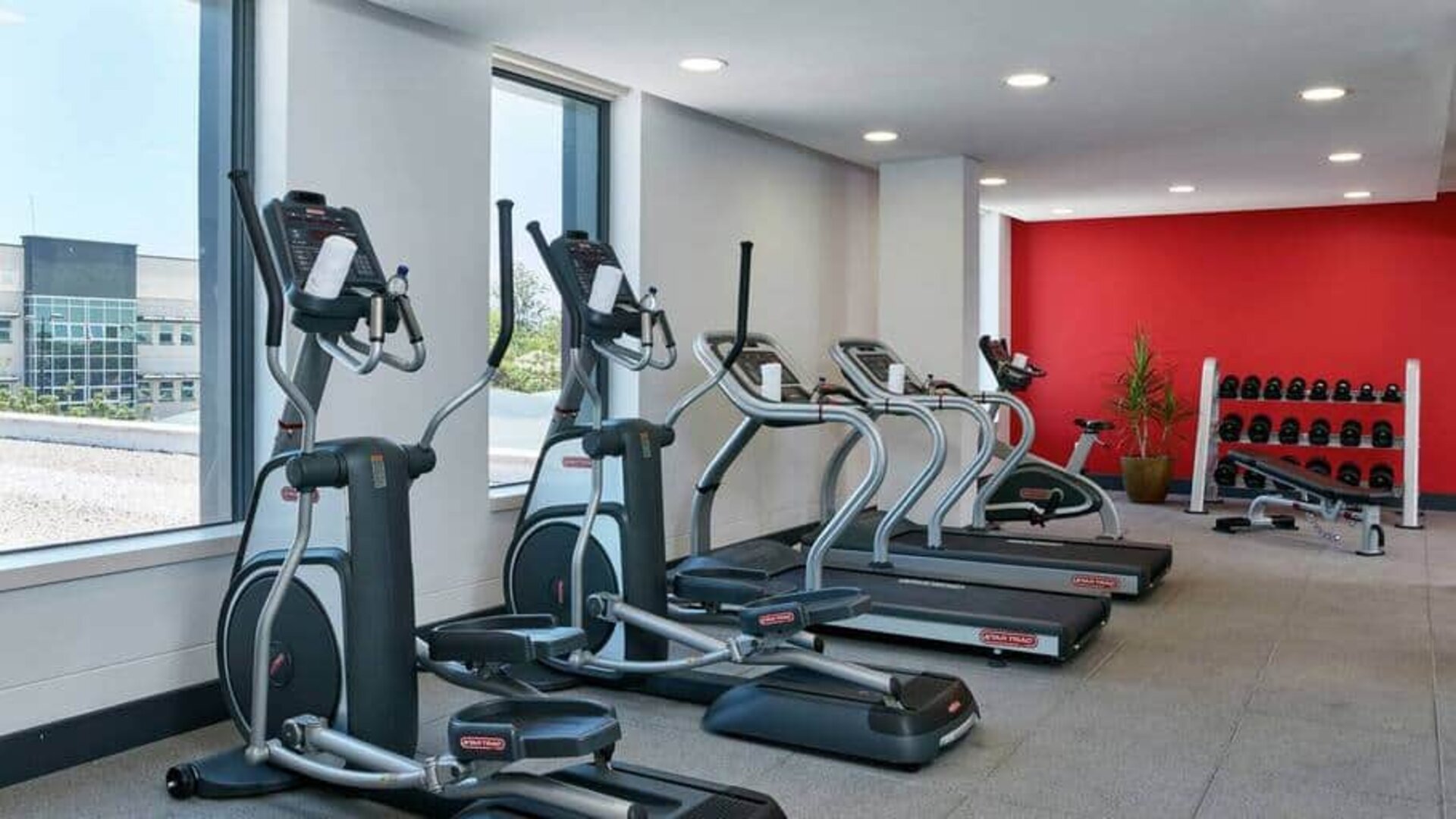 Ellipticals, treadmills, and space for free weights in hotel exercise room.