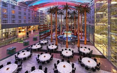 Spacious outdoor patio with palms at the Hilton Munich Airport.