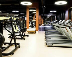 well equipped fitness center at DoubleTree by Hilton Istanbul Topkapi.