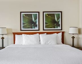 King guest room featuring a plush bed, bedside lighting, and nature-inspired artwork, creating a welcoming and restful atmosphere for a comfortable stay.