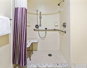 Accessible roll-in shower equipped with grab bars, a handheld showerhead, and a built-in shower seat, designed to provide safety, comfort, and convenience for all guests.