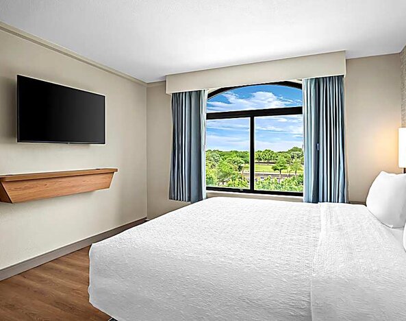 King bed with TV and natural light. 