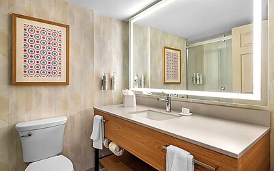 Guest bathroom with shower and toilet. 