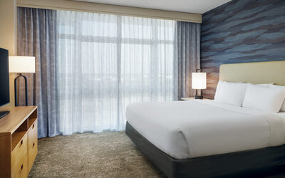 Bright king guest room with contemporary décor, spacious layout, and abundant natural light at Embassy Suites By Hilton Charleston Airport Convention Center.