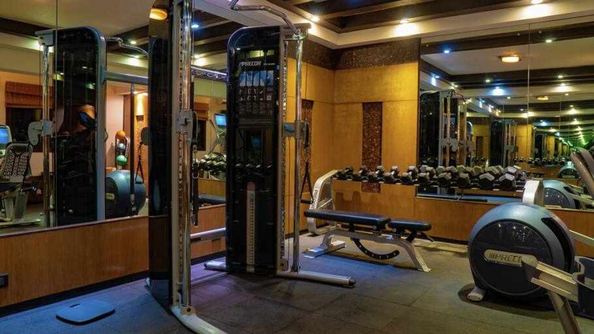 Fitness center at the DoubleTree by Hilton Goa - Arpora - Baga.