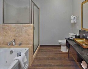 Guest bathroom at the Tapestry By Hilton Scholar Morgantown, WV.