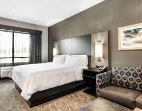 Day use room with sofa at Holiday Inn & Suites Silicon Valley - Milpitas.