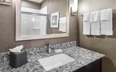 Guest bathroom with shower at Holiday Inn & Suites Silicon Valley - Milpitas.