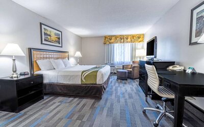 Double bed guest room in the Quality Inn Halifax Airport, furnished with large TV and a workspace desk and chair.