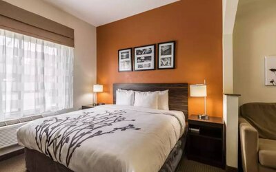 Day use room with natural light at Sleep Inn & Suites Stafford - Sugar Land.