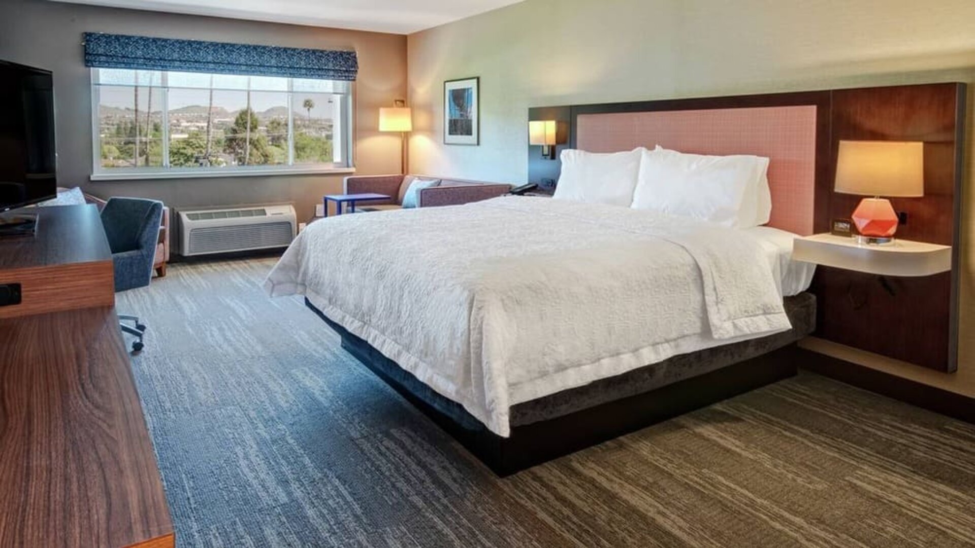 Spacious king bed with TV and natural light at Hampton Inn Vallejo.
