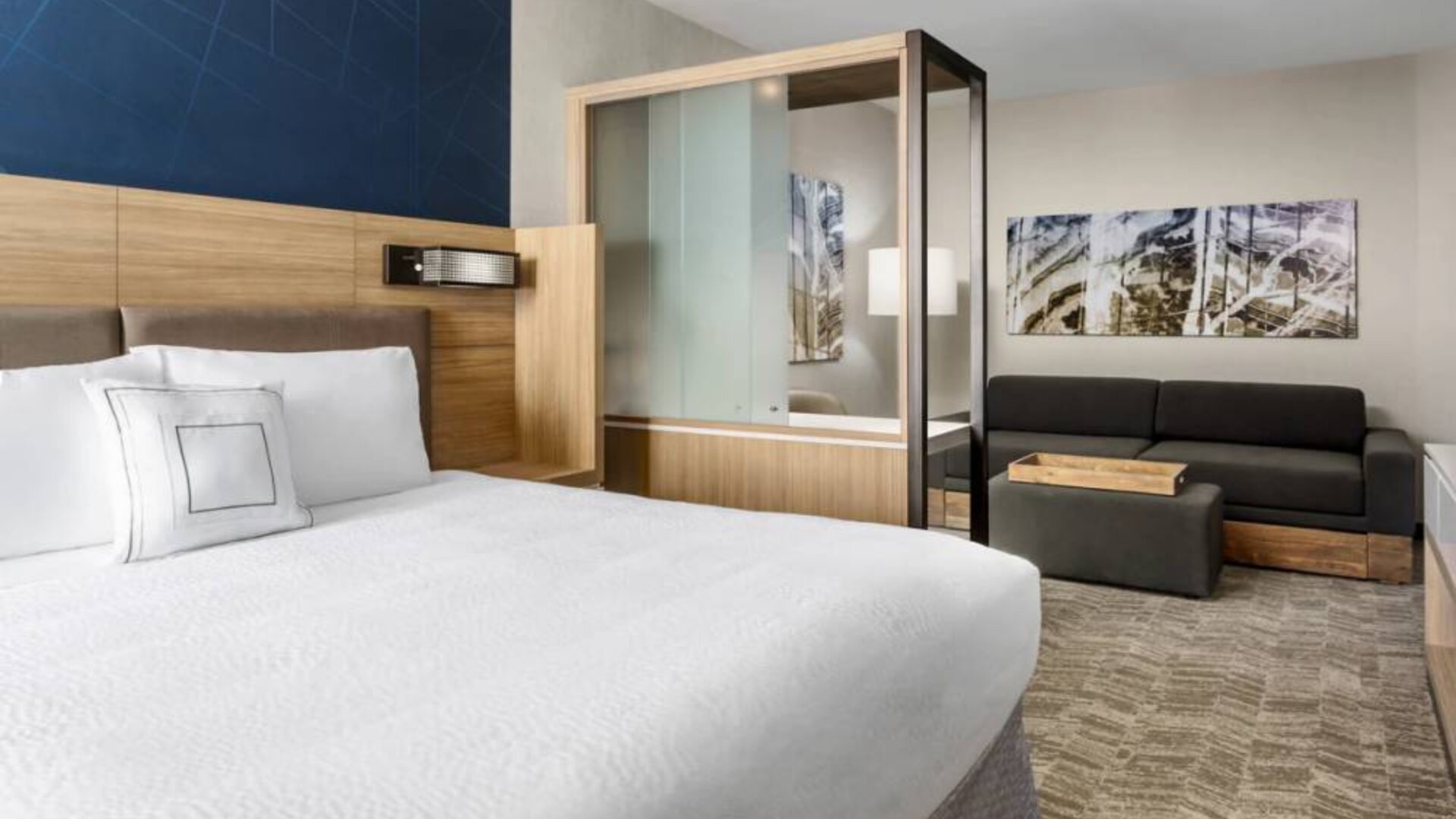 Day use room with sofa at Springhill Suites By Marriott Belmont / Redwood Shores.
