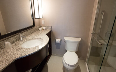 Holiday Inn Times Square