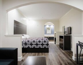 Day use room at Palace Inn TX 249.