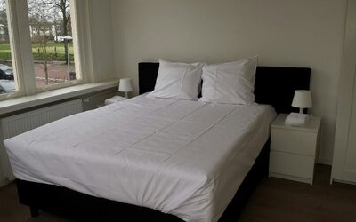 Bright king bedroom featuring large windows, comfortable bedding, and minimalist décor at Hotel Chao 24/7.