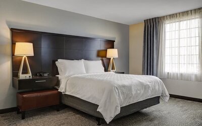 Delux king room with natural light at Staybridge Suites Washington D.C.- Greenbelt.