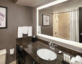 Guest bathroom with shower at Embassy Suites By Hilton, Crystal City National Airport.