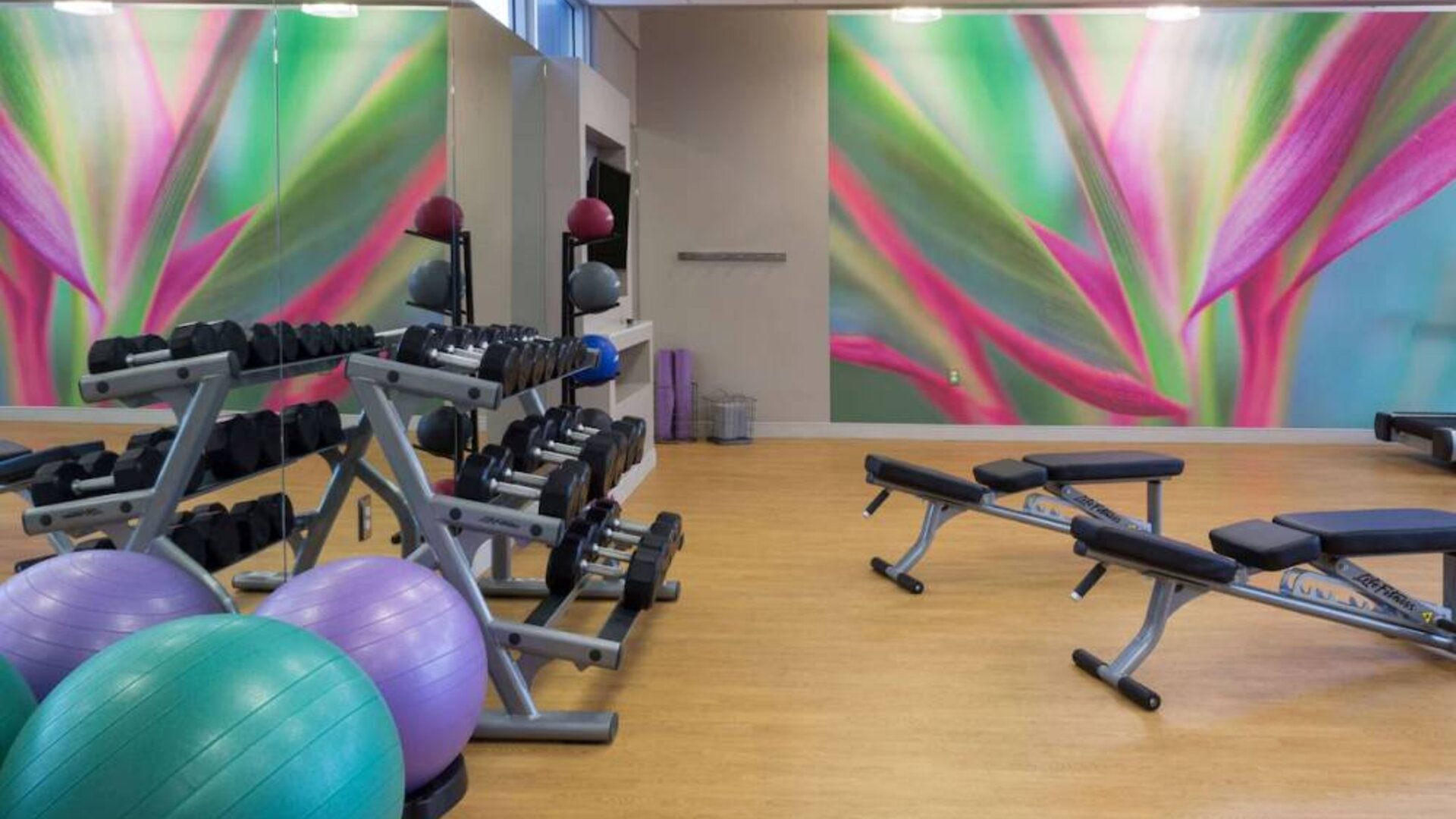 Sonesta Miami Airport’s fitness center is equipped with racks of free weights, multiple benches, and gym balls.