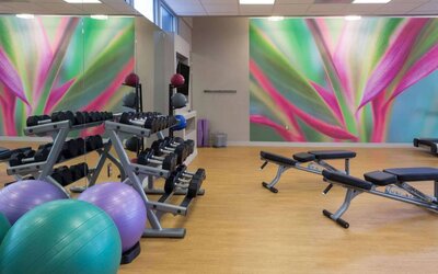 Sonesta Miami Airport’s fitness center is equipped with racks of free weights, multiple benches, and gym balls.