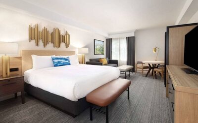 Sonesta Silicon Valley double bed guest room, featuring sofa, table and chairs, window, and TV.