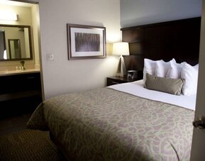 Double bed guest room in Sonesta ES Suites San Jose Airport, with bedside lamp and ensuite bathroom.