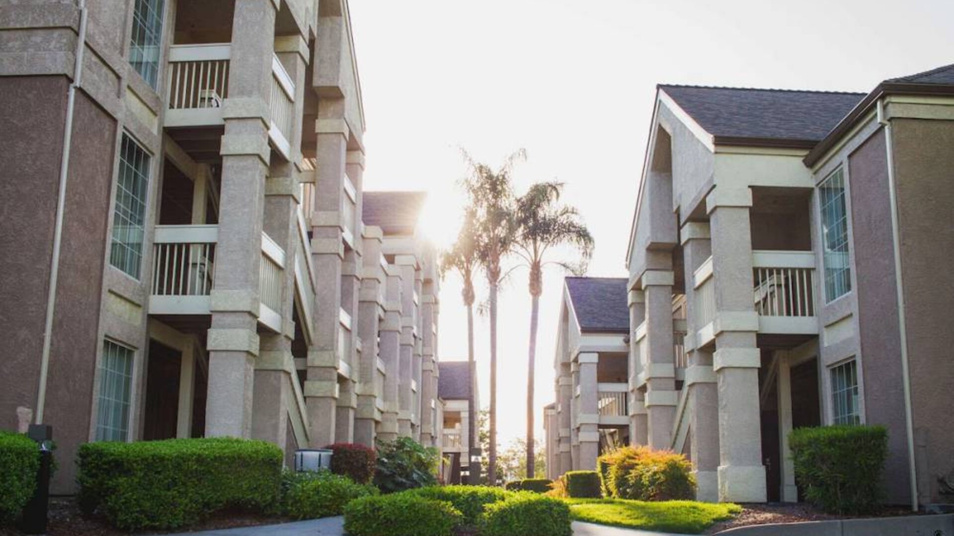 The hotel exterior features soaring palm trees and well-kept hedges and bushes close to the day rooms.