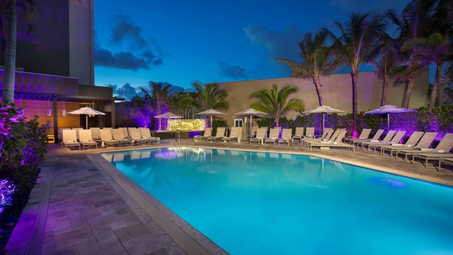 Sonesta Fort Lauderdale Beach’s outdoor pool has palm trees and sun loungers by the side, with shade available.