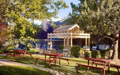 The picnic area at Sonesta ES Suites Flagstaff features benches on tables on grass, with trees and and barbecue facilities nearby.