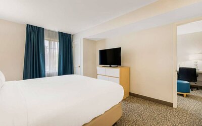 Double bed guest room in Sonesta ES Suites Charlotte Arrowood, including window and television.